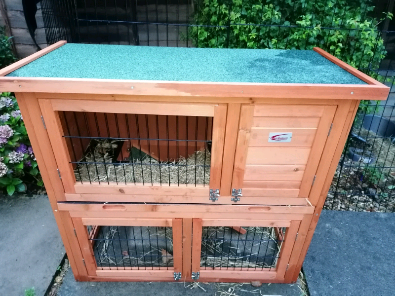 gumtree guinea pig hutch